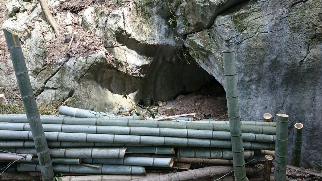 3月 竹林から洞窟を発見